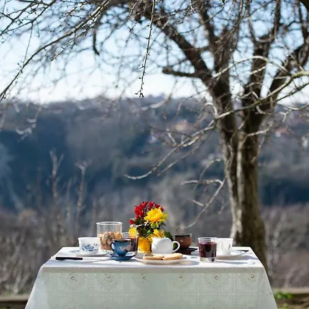 La Casetta Апартаменты *