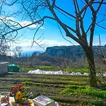La Casetta *